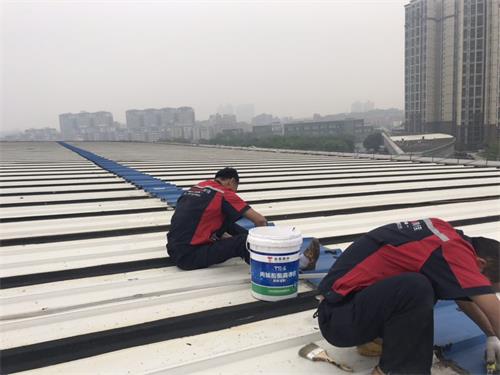 44980.jpg 武汉厂房补漏.jpg