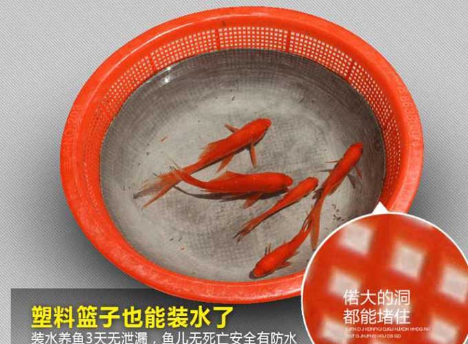 防水补漏